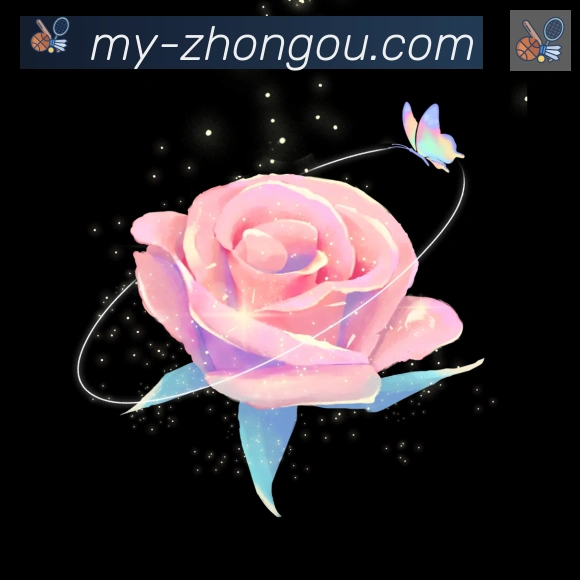 中欧体育APP荣誉
